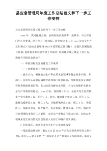 县应急管理局年度工作总结范文和下一步工作安排