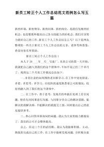新员工转正个人工作总结范文范例怎么写五篇