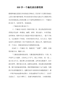 【800字】一个偏见读后感范例