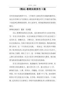 (精品)暑期实践报告3篇