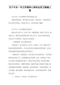 关于中央一号文件精神心得体会范文精编三篇