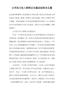 公司实习生入职转正长篇总结范本五篇