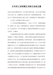 公司员工试用期正式转正总结五篇