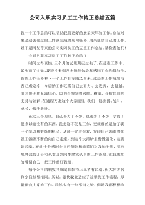 公司入职实习员工工作转正总结五篇