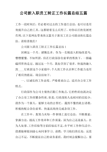 公司新入职员工转正工作长篇总结五篇
