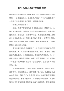 初中孤独之路的读后感范例