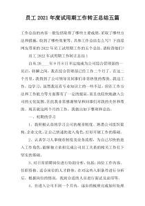 员工2022年度试用期工作转正总结五篇