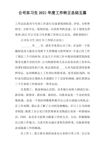 公司实习生2022年度工作转正总结五篇