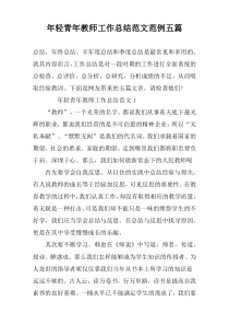 年轻青年教师工作总结范文范例五篇