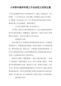 小学青年教师学期工作总结范文范例五篇