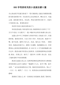 【800字】母亲有关的小说读后感5篇