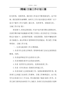 (精编)文秘工作计划三篇