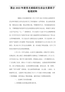 国企【通用参考】党支部组织生活会支委班子检视材料