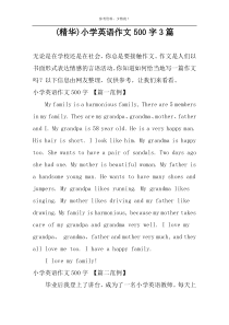 (精华)小学英语作文500字3篇