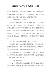 导购员工转正工作总结范文5篇