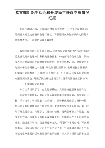 党支部组织生活会和开展民主评议党员情况汇报