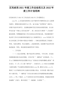 区民政局2021年度工作总结范文及2022年度工作计划范例