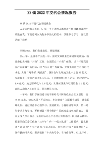 2022镇党代会情况报告【优质范例】