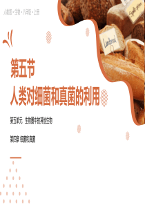 人教版八年级生物上册人类对细菌和真菌的利用PPT模板