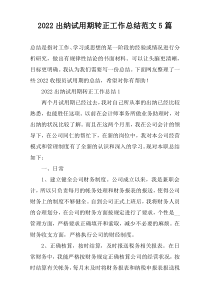 2022出纳试用期转正工作总结范文5篇