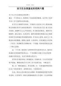 实习生自我鉴定的范例六篇