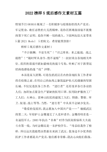 2022榜样5观后感作文素材五篇