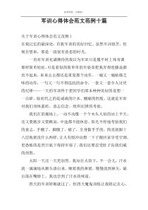 军训心得体会范文范例十篇