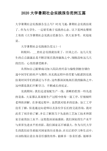 2022大学暑期社会实践报告范例五篇