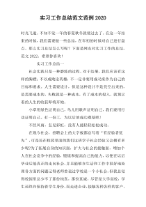 实习工作总结范文范例2022