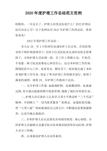 2022年度护理工作总结范文范例