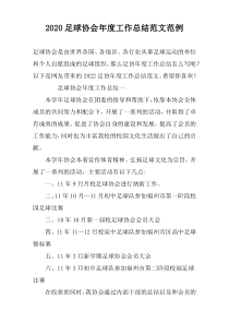 2022足球协会年度工作总结范文范例