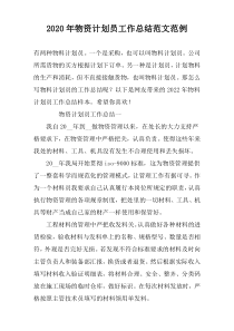 2022年物资计划员工作总结范文范例