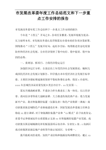 市发展改革委年度工作总结范文和下一步重点工作安排的报告