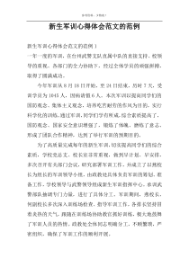 新生军训心得体会范文的范例