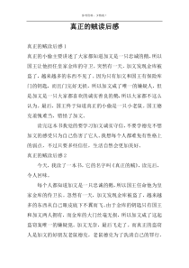 真正的贼读后感