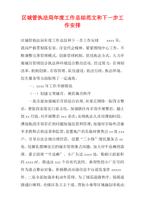 区城管执法局年度工作总结范文和下一步工作安排