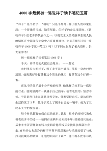 4000字最新初一骆驼祥子读书笔记五篇