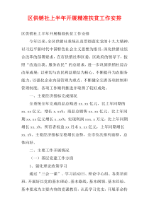 区供销社上半年开展精准扶贫工作安排