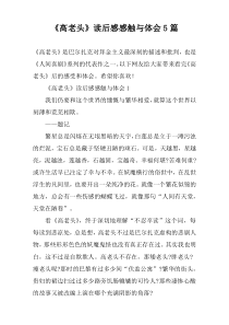 《高老头》读后感感触与体会5篇