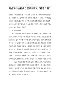 财务工作自检的自查报告范文（精选5篇）