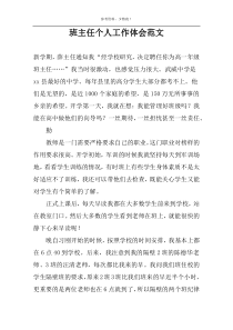 班主任个人工作体会范文