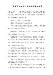 《天蓝色的彼岸》读书笔记感触5篇