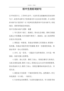 初中生的好词好句