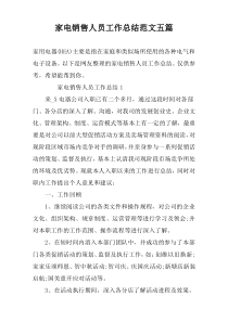 家电销售人员工作总结范文五篇