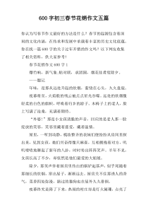 【600字】初三春节花销作文五篇