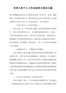 负责人的个人工作总结范文报告五篇