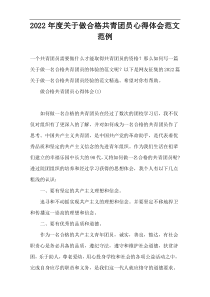 2022年度关于做合格共青团员心得体会范文范例