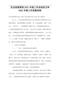 区应急管理局2021年度工作总结范文和2022年度工作思路范例