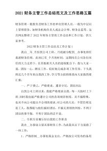 2022财务主管工作总结范文及工作思路五篇
