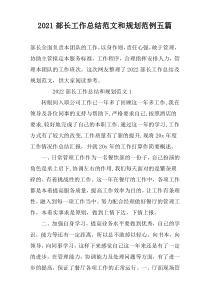 2022部长工作总结范文和规划范例五篇